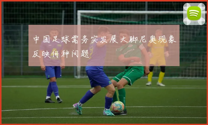 中国足球需务实发展大脚尼奥现象反映何种问题
